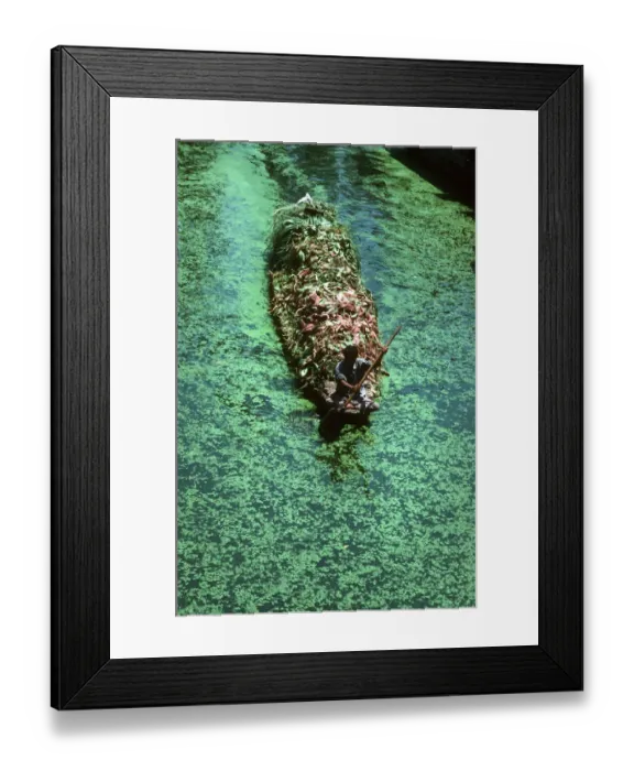 Framed Print : Kashmir, Srinagar - boatman paddles boat with animal fodder Framed Print : Kashmir, Srinagar - boatman paddles boat with animal fodder