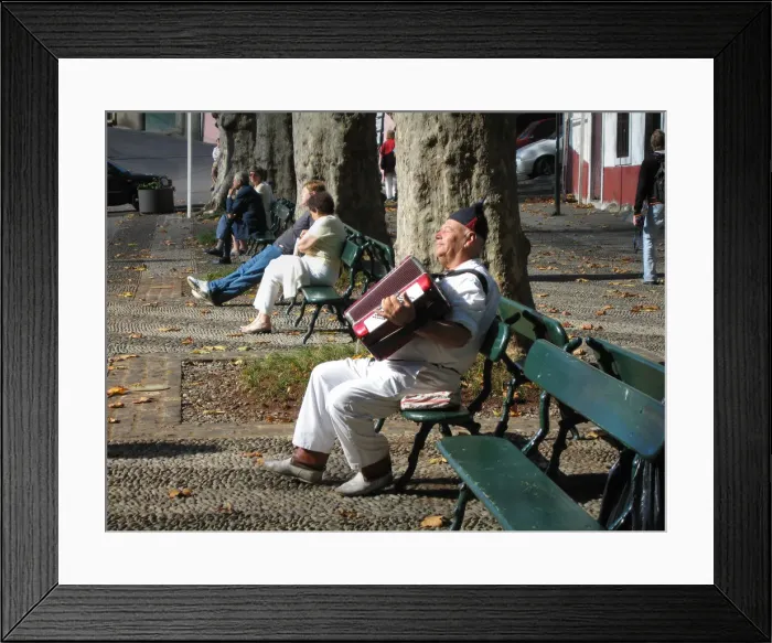 Framed Print : A blissful accordion player on a park bench in Maderia Framed Print : A blissful accordion player on a park bench in Maderia