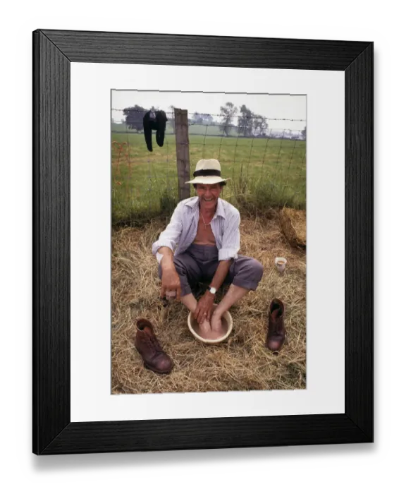 Framed Print : Appleby Horse Fair, Cumbria, England Framed Print : Appleby Horse Fair, Cumbria, England