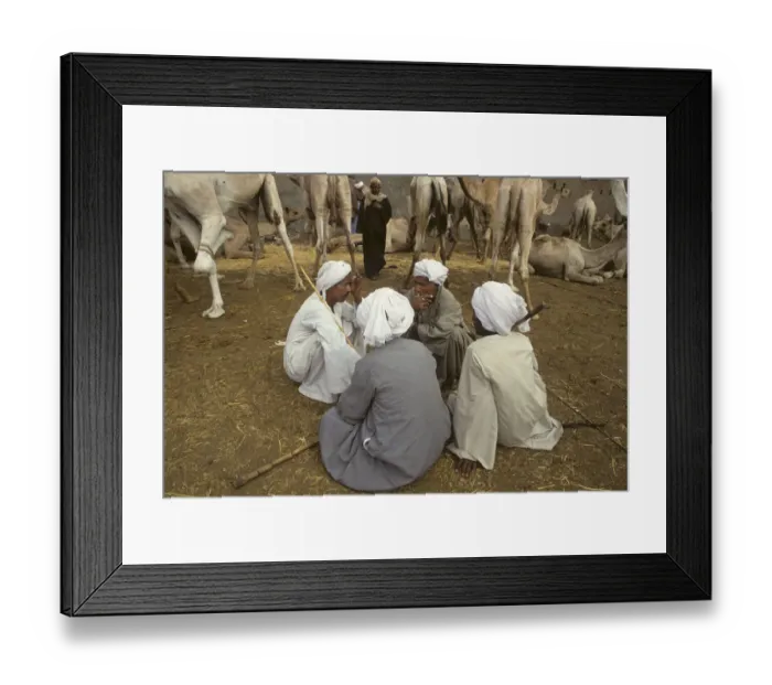 Framed Print : Camel traders at Birqash Camel Market near Cairo, Egypt Framed Print : Camel traders at Birqash Camel Market near Cairo, Egypt