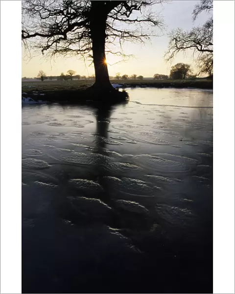 Frozen pond with back light, Church Eaton, Staffordshire