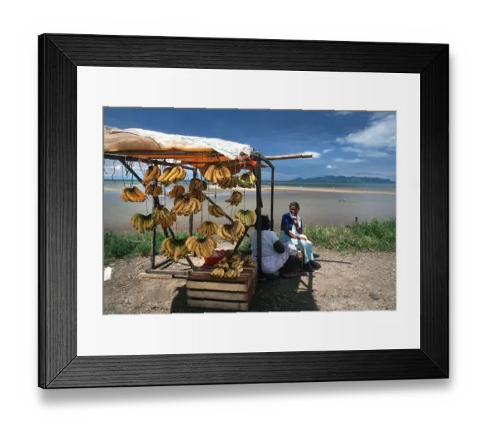 Framed Print : Happy banana sellers on a fruit stall on Viti Levu, Fiji Framed Print : Happy banana sellers on a fruit stall on Viti Levu, Fiji
