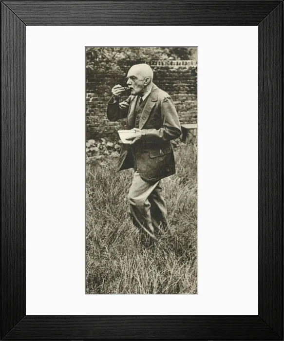 Framed Print : WWII - the man who eats grass, Mr J. R. B. Branson Framed Print : WWII - the man who eats grass, Mr J. R. B. Branson