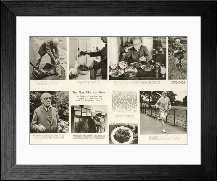 Framed Print : WWII - the man who eats grass, Mr J. R. B. Branson Framed Print : WWII - the man who eats grass, Mr J. R. B. Branson