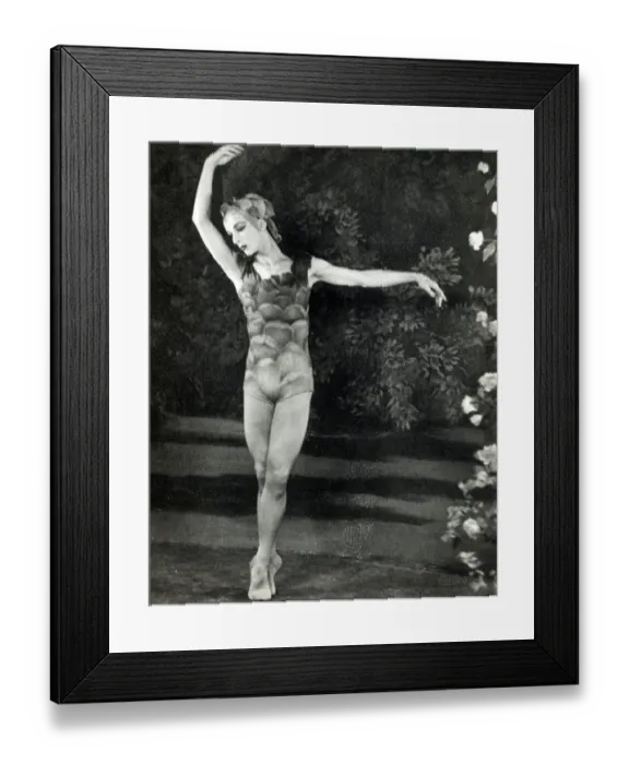 Framed Print : Ballet dancer Alexis Rassine in Le Spectre de la Rose Framed Print : Ballet dancer Alexis Rassine in Le Spectre de la Rose
