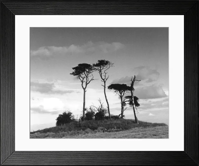 Framed Print : Dramatic sky-line near Ripon, Yorkshire, England Framed Print : Dramatic sky-line near Ripon, Yorkshire, England
