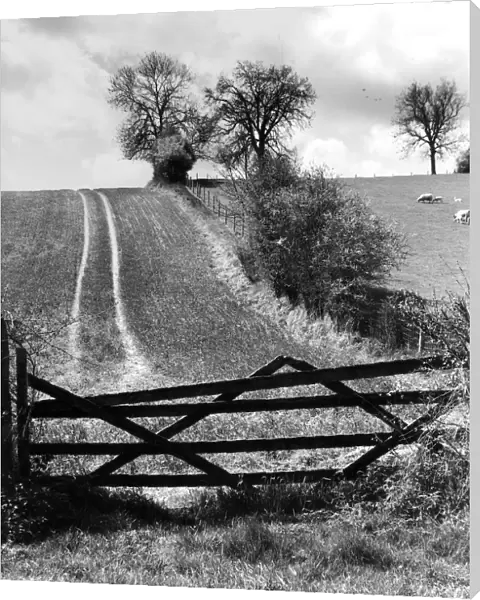 Farm track over hill, Bix, Oxfordshire, England