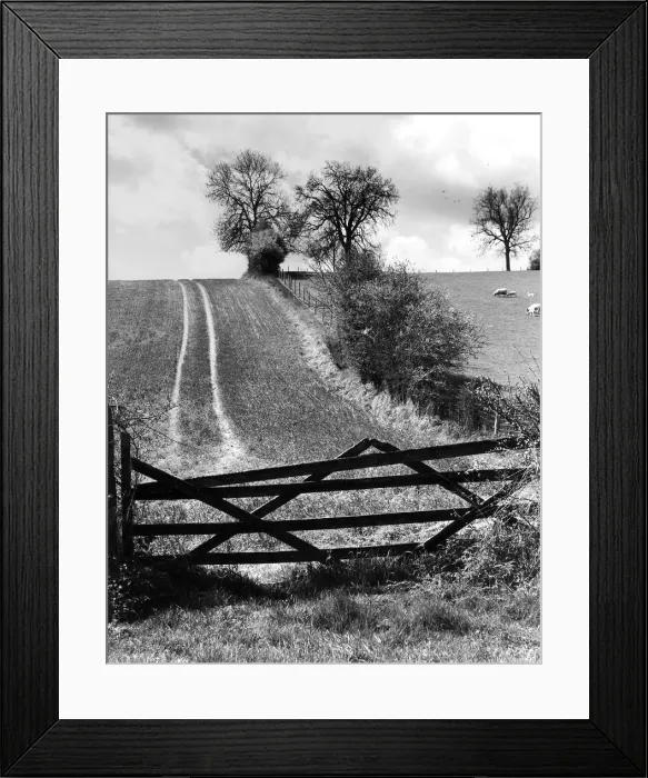 Framed Print : Farm track over hill, Bix, Oxfordshire, England Framed Print : Farm track over hill, Bix, Oxfordshire, England