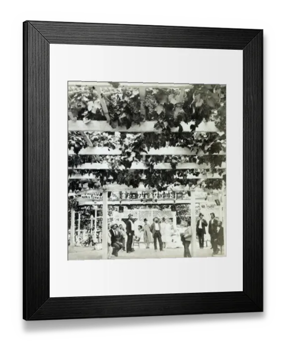 Framed Print : Grape arbour, Los Angeles, California, USA Framed Print : Grape arbour, Los Angeles, California, USA