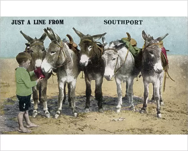 Donkeys on the beach at Southport, Cheshire (Merseyside)