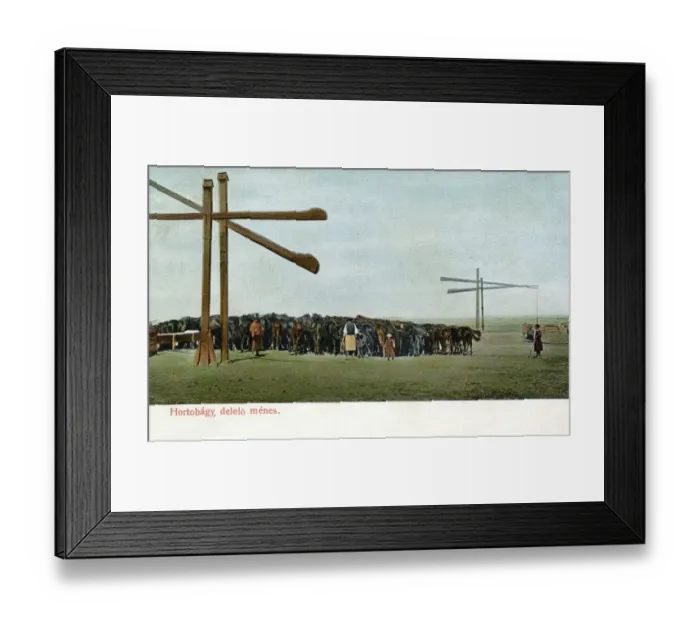 Framed Print : Breeding stud for horses, Hortobagy, Hungary Framed Print : Breeding stud for horses, Hortobagy, Hungary