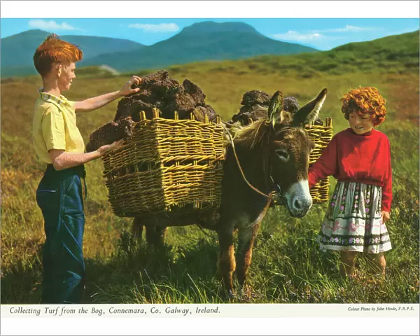 Collecting Turf from the Bog, Connemara, County Galway
