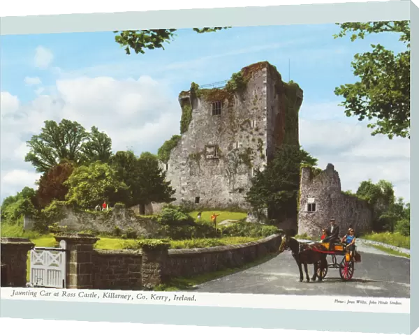 Jaunting Car at Ross Castle, Killarney, County Kerry