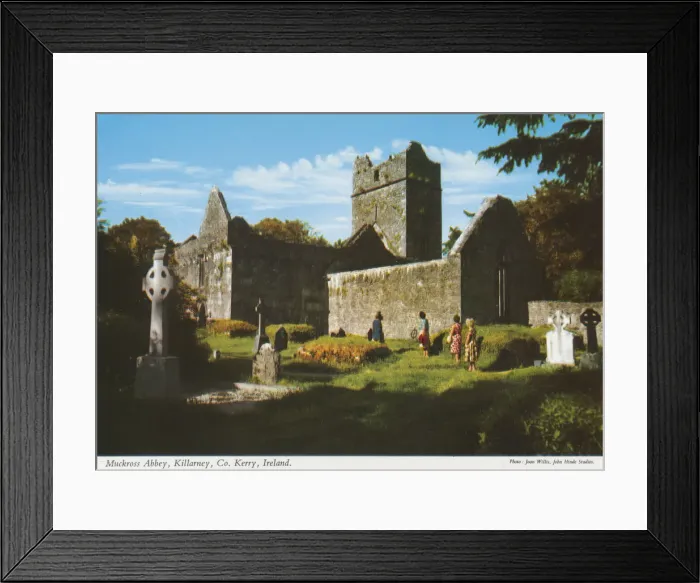 Framed Print : Muckross Abbey, Killarney, County Kerry Framed Print : Muckross Abbey, Killarney, County Kerry