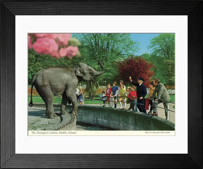 Framed Print : The Zoological Gardens, Dublin, Republic of Ireland Framed Print : The Zoological Gardens, Dublin, Republic of Ireland
