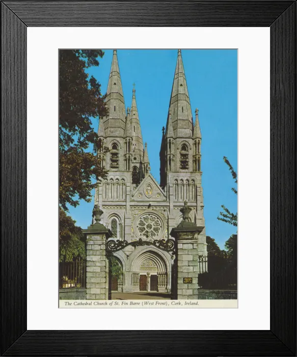 Framed Print : The Cathedral Church of St Fin Barre, (West Front) Cork Framed Print : The Cathedral Church of St Fin Barre, (West Front) Cork