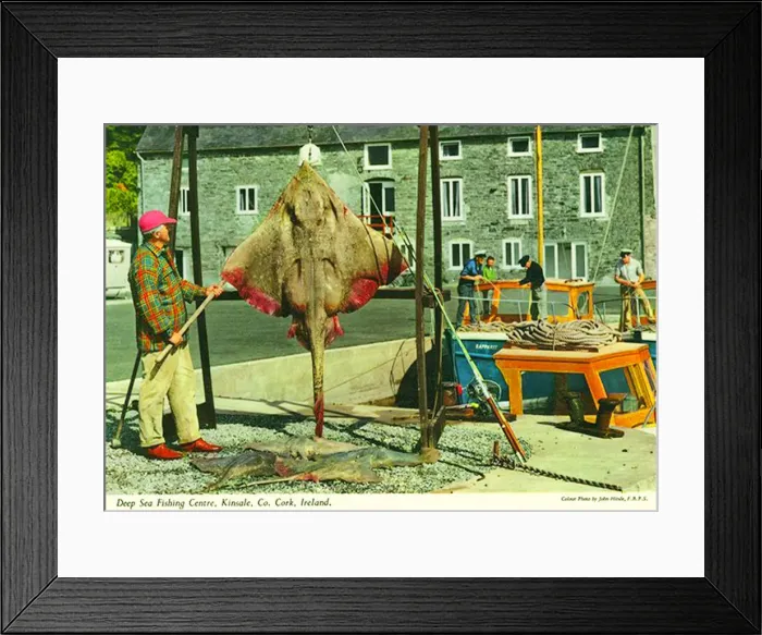 Framed Print : Deep Sea Fishing Center, Kinsale, County Cork Framed Print : Deep Sea Fishing Center, Kinsale, County Cork