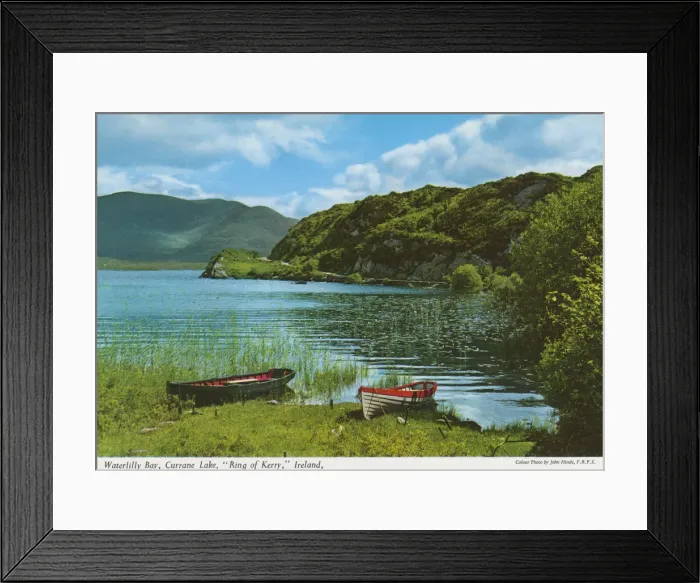 Framed Print : Waterlilly Bay, Currane Lake, Ring of Kerry Framed Print : Waterlilly Bay, Currane Lake, Ring of Kerry