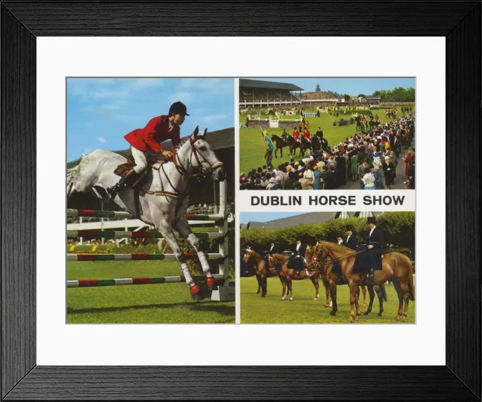 Framed Print : Dublin Horse Show, Republic of Ireland Framed Print : Dublin Horse Show, Republic of Ireland