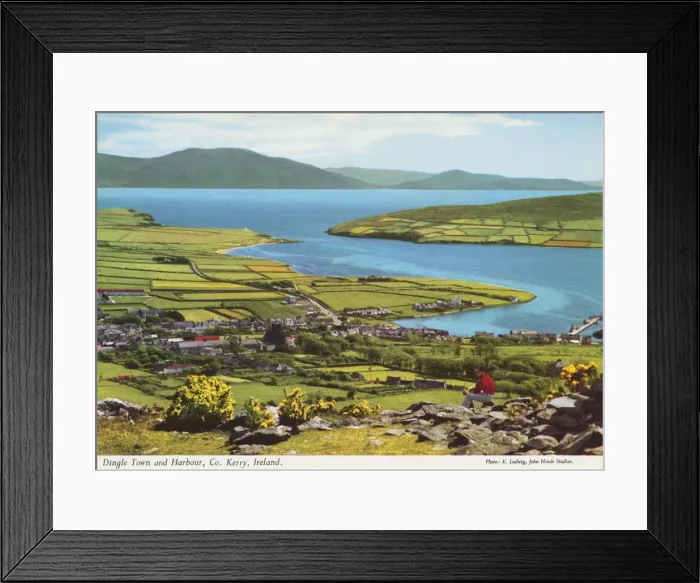 Framed Print : Dingle Town & Harbour County Kerry Ireland Framed Print : Dingle Town & Harbour County Kerry Ireland