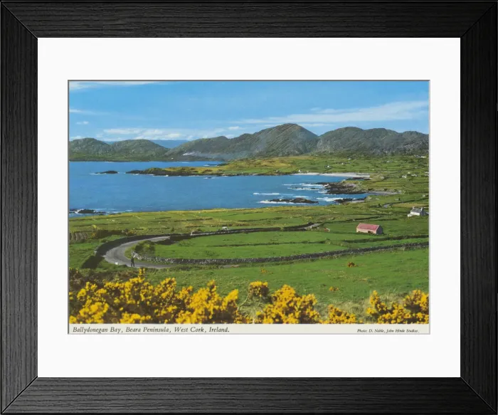 Framed Print : Ballydonegan Bay, Beara Peninsula, West Cork Framed Print : Ballydonegan Bay, Beara Peninsula, West Cork