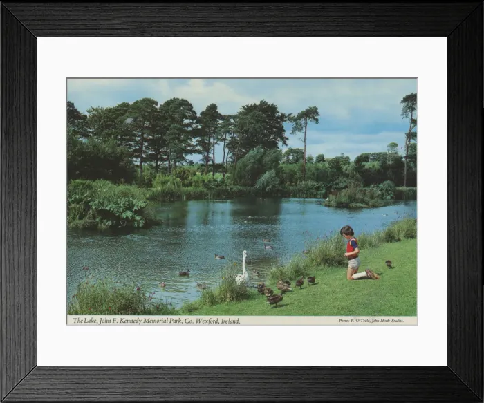 Framed Print : The Lake, John F. Kennedy Memorial Park, Co Wexford Framed Print : The Lake, John F. Kennedy Memorial Park, Co Wexford