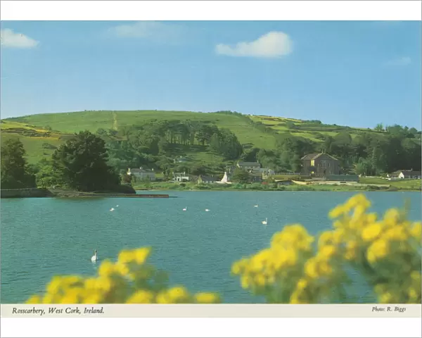 Rosscarbery, West Cork, Republic of Ireland by R. Biggs