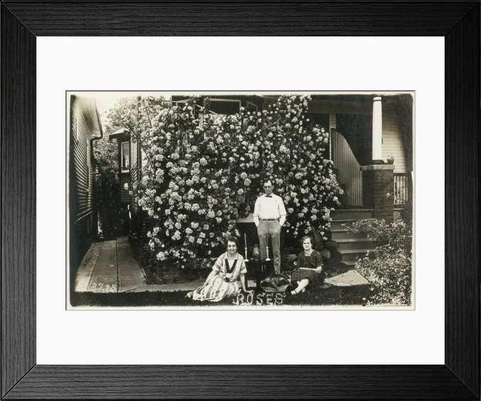 Framed Print : Mr and Mrs Ball in front of their impressive Rose, Toronto Framed Print : Mr and Mrs Ball in front of their impressive Rose, Toronto