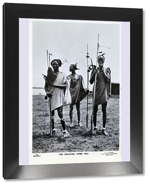 Three Shilluk Warriors of the Upper Nile, Sudan