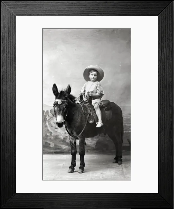 Framed Print : Young Boy in Summer attire - Studio photo on a donkey Framed Print : Young Boy in Summer attire - Studio photo on a donkey