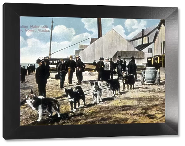 A team of huskies haul water at Nome, Alaska. Date: 1910
