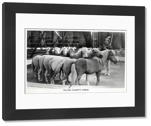 The performing ponies of William Gilberts Circus Date: circa 1930s