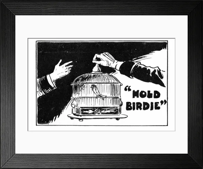 Framed Print : Hold Birdie, a farce, Duke of Yorks Theatre, London