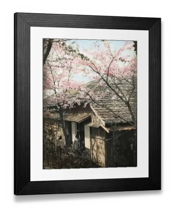 Framed Print : Sempill British Aviation Mission to Japan Framed Print : Sempill British Aviation Mission to Japan