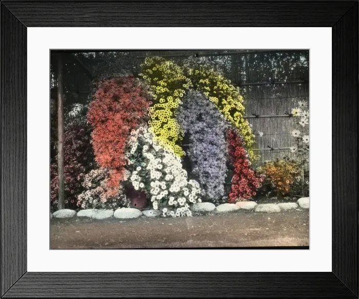Framed Print : Sempill British Aviation Mission to Japan Framed Print : Sempill British Aviation Mission to Japan