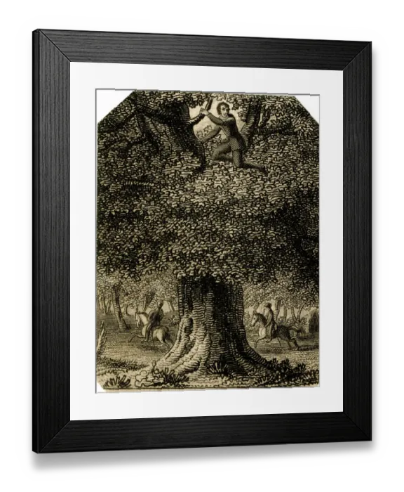 Framed Print : King Charles II in the oak - 18th century engraving Framed Print : King Charles II in the oak - 18th century engraving