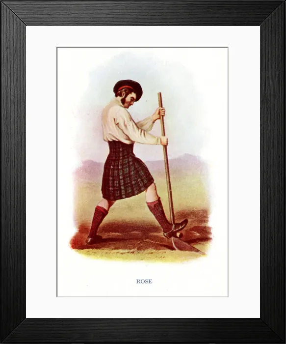 Framed Print : Rose, Traditional Scottish Clan Costume Framed Print : Rose, Traditional Scottish Clan Costume