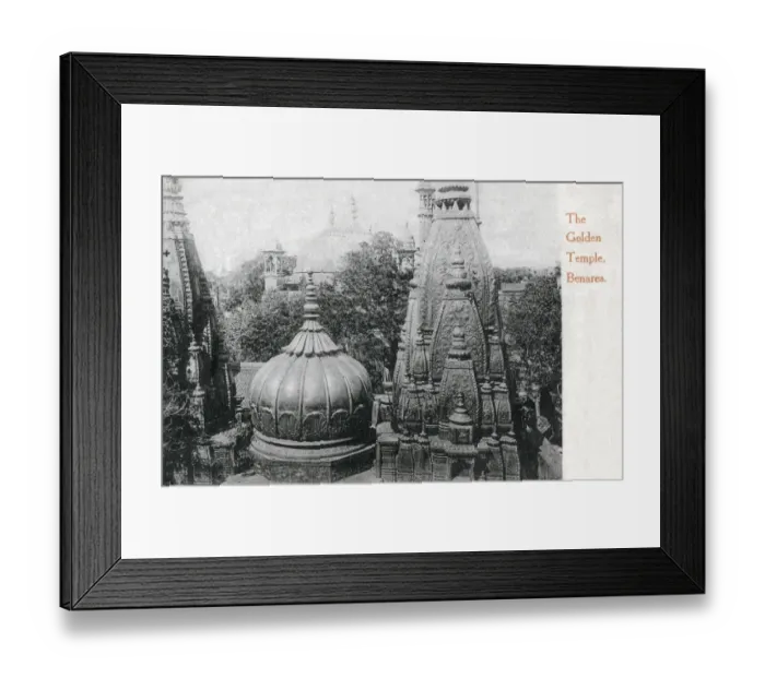 Framed Print : The Shri Kashi Vishwanath Temple (Golden Temple) dedicated to Lord Shiva Framed Print : The Shri Kashi Vishwanath Temple (Golden Temple) dedicated to Lord Shiva