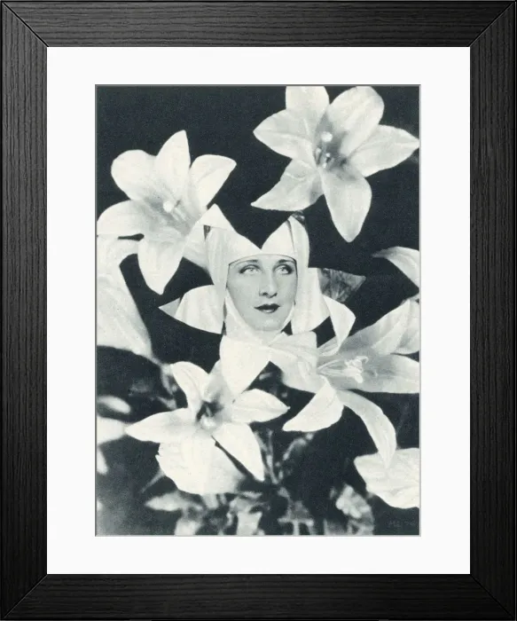 Framed Print : Norma Shearer among the Lilies - Screen Celebrities - from a New Angle Framed Print : Norma Shearer among the Lilies - Screen Celebrities - from a New Angle