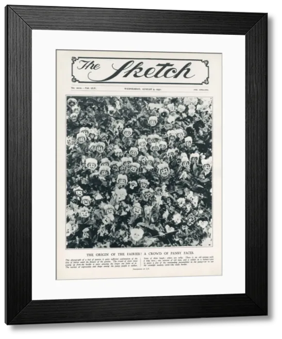 Framed Print : The Origin of the Fairies - A Crowd of Pansy Faces. Date: 1931 Framed Print : The Origin of the Fairies - A Crowd of Pansy Faces. Date: 1931