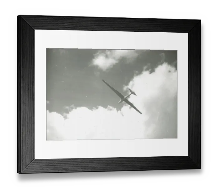 Framed Print : King Kite; 3 / 4 front from below, soaring Framed Print : King Kite; 3 / 4 front from below, soaring
