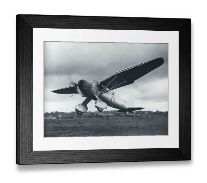Framed Print : Westland Lysander taking off Framed Print : Westland Lysander taking off