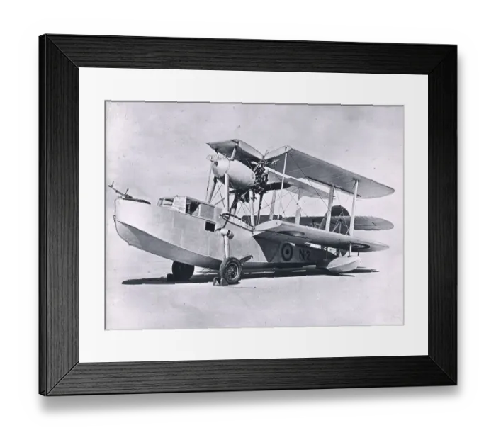 Framed Print : Short Seagull V Framed Print : Short Seagull V