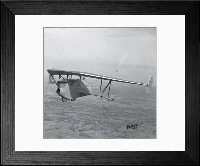 Framed Print : Hill Pterodactyl V