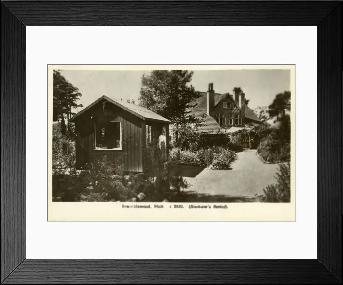 Framed Print : Bramblewood Framed Print : Bramblewood