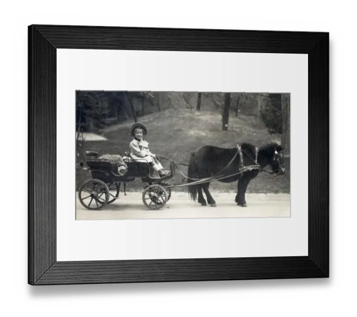 Framed Print : Hungary - Young girl at the reins of a miniature pony cart. Date: 1923 Framed Print : Hungary - Young girl at the reins of a miniature pony cart. Date: 1923