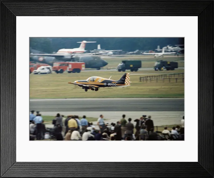 Framed Print : Bullfinch at Farnborough Framed Print : Bullfinch at Farnborough