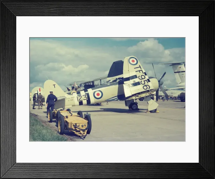 Framed Print : Sea Fury at Greenham Common Framed Print : Sea Fury at Greenham Common