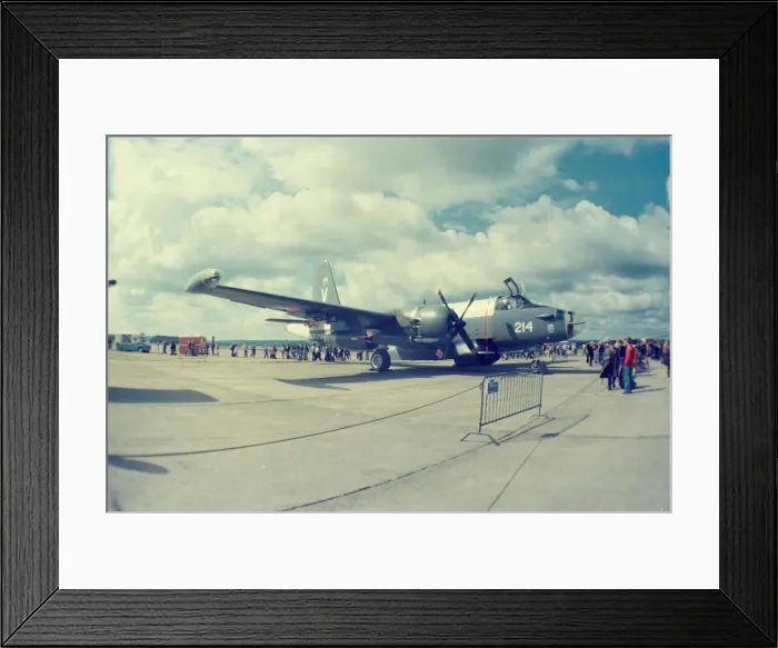 Framed Print : Neptune at Greenham Common Framed Print : Neptune at Greenham Common