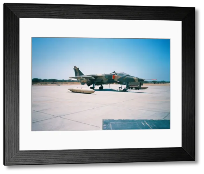 Framed Print : Jaguar at Seeb North - Oman Framed Print : Jaguar at Seeb North - Oman